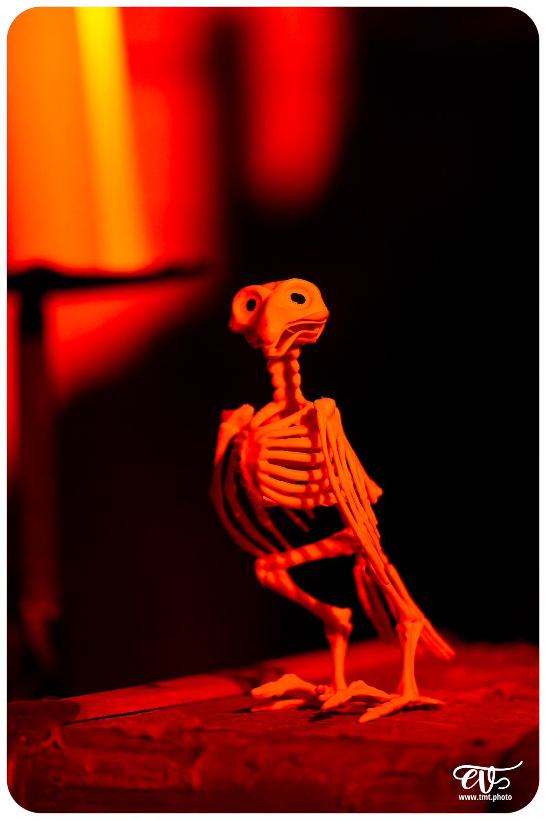 LA FABRIQUE DES RÊVES (EX NIHILO WISSEMBOURG)